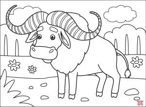 Bufalo boyama sayfası, Buffalo coloring page, , Buffalo Buffalo