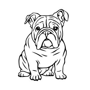 Buldog boyama sayfası,  coloring page, , 