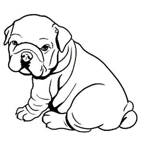 Buldog boyama sayfası,  coloring page, , 