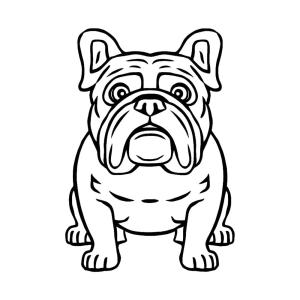 Buldog boyama sayfası,  coloring page, Buldog resmini yazdır, 