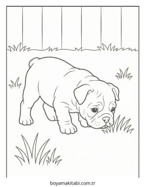 Bulldog boyama sayfası – çocuklar için, çizgi film temalı