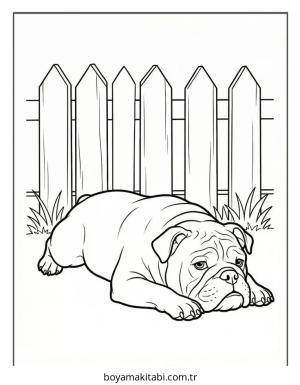 Bulldog boyama sayfası – keyifli zaman, renkli çizimler