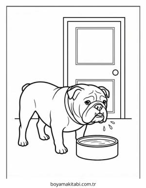 Bulldog boyama sayfası – boyama etkinliği, çocuk aktivitesi