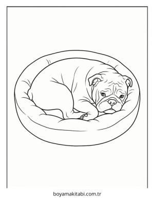 Bulldog boyama sayfası – renkli çizimler, okul öncesi