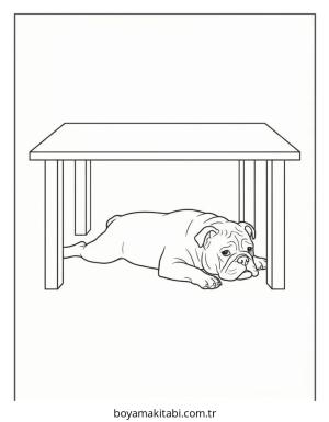 Bulldog boyama sayfası – sevimli karakter, sanatsal çalışma