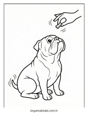 Bulldog boyama sayfası – evde etkinlik, ücretsiz yazdır