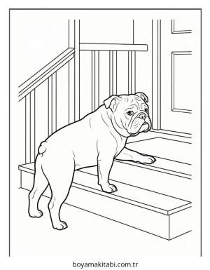 Bulldog boyama sayfası – basit çizim, kolay boyama