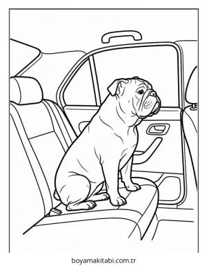 Bulldog Boyama Sayfaları