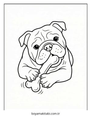 Bulldog boyama sayfası – ücretsiz yazdır, boyama etkinliği
