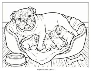 Bulldog boyama sayfası – okul öncesi, evde etkinlik
