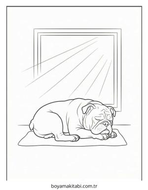 Bulldog boyama sayfası – renkli çizimler, okul öncesi