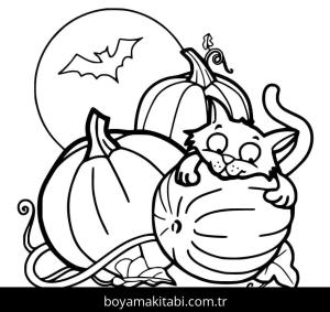 Cadılar Bayramı Kedisi boyama sayfası – boyama çalışması, yaratıcılığı geliştirir