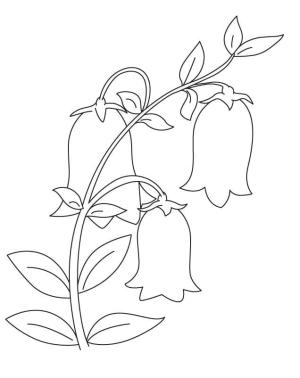 Çan çiçeği boyama sayfası,  coloring page, Mükemmel Çan çiçeği, 