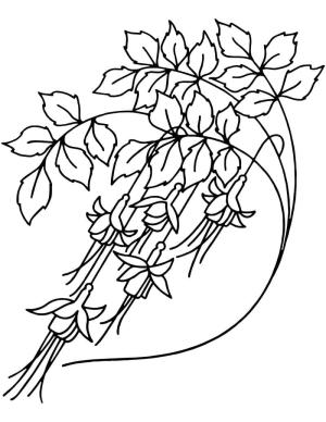 Çan çiçeği boyama sayfası,  coloring page, Çan çiçeği anahattı, 