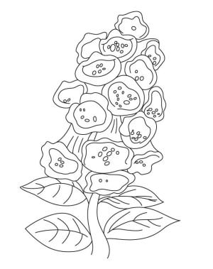 Çan çiçeği boyama sayfası,  coloring page, Çocuklara ücretsiz çan çiçeği, 