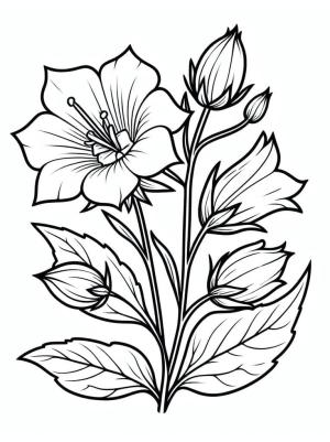 Çan çiçeği boyama sayfası,  coloring page, Yazdırılacak çan çiçeği, 