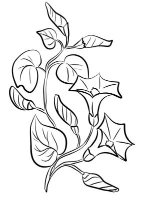 Çan çiçeği boyama sayfası,  coloring page, Çan çiçeği anahat görüntüsü, 