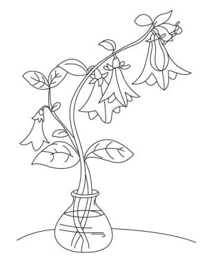 Çan çiçeği boyama sayfası,  coloring page, Çan çiçeği anahat resmi, 