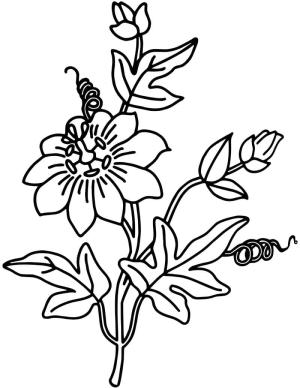 Çan çiçeği boyama sayfası,  coloring page, Çocuklar için yazdırılabilir çan çiçeği, 