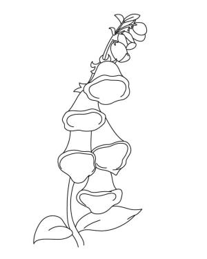 Çan çiçeği boyama sayfası,  coloring page, Çan çiçeği taslağı yazdırılabilir, 