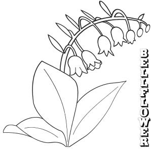 Çan çiçeği boyama sayfası,  coloring page, Çan çiçeği resmi, 