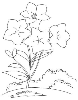 Çan çiçeği boyama sayfası,  coloring page, Basit çan çiçeği, 