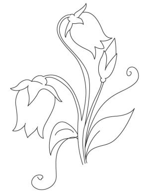 Çan çiçeği boyama sayfası,  coloring page, Güzel çan çiçeği resmi, 