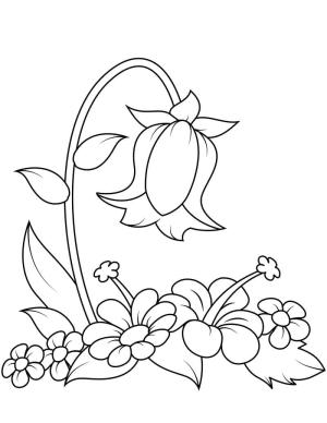 Çan çiçeği boyama sayfası,  coloring page, Güzel çan çiçeği, 