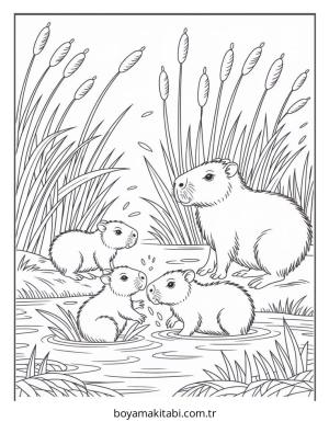 Capybara boyama sayfası – el becerilerini geliştirir, boyama çalışması