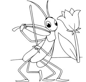 Çekirge boyama sayfası,  coloring page, Çekirge keman çalıyor, 