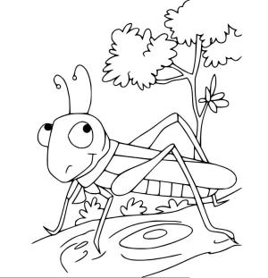 Çekirge boyama sayfası,  coloring page, Karikatür Komik Çekirge, 