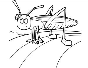 Çekirge boyama sayfası,  coloring page, Çiçekli çizgi film çekirgesi, 