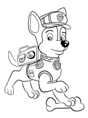 Chase Paw Patrol boyama sayfası,  coloring page, Küçük Chase Paw Patrol, 