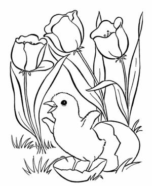 Civciv boyama sayfası,  coloring page, Çiçekli Civciv, 