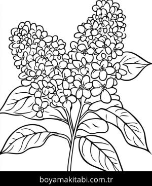 Çiçek Buketi boyama sayfası – basit çizim, kolay boyama