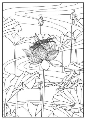 Çiçek boyama sayfası, Flower coloring page, Çiçek Lotus, 