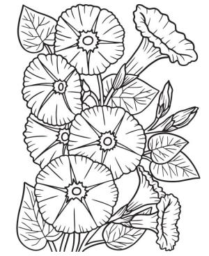 Çiçek boyama sayfası, Flower coloring page, , 