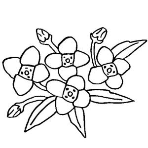 Çiçek boyama sayfası, Flower coloring page, Çizim Çiçek, 