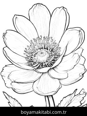Çiçek boyama sayfası, Flower coloring page, , 
