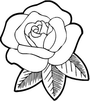 Çiçek boyama sayfası, Flower coloring page, Gül çiçek, 