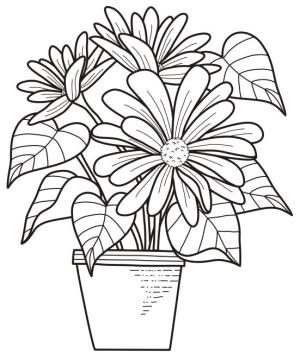 Çiçek boyama sayfası, Flower coloring page, , 