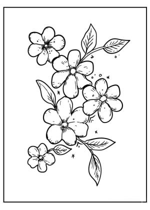 Çiçek boyama sayfası, Flower coloring page, Yaprakları ile Çiçek, 