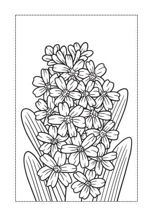 Çiçek boyama sayfası, Flower coloring page, , 