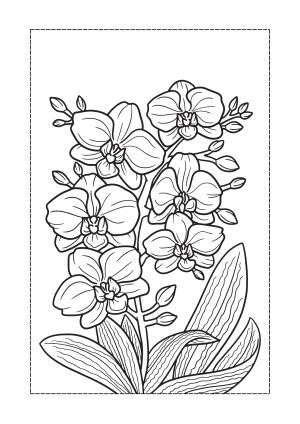 Çiçek boyama sayfası, Flower coloring page, , 