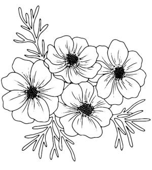 Çiçek boyama sayfası, Flower coloring page, , 