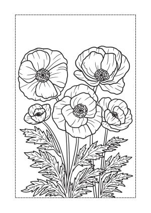 Çiçek boyama sayfası, Flower coloring page, , 