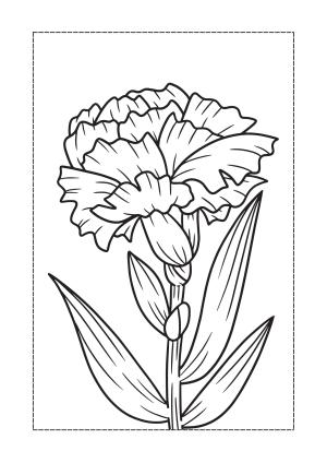 Çiçek boyama sayfası, Flower coloring page, , 