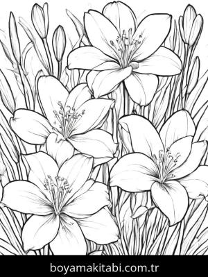 Çiçek boyama sayfası, Flower coloring page, , 