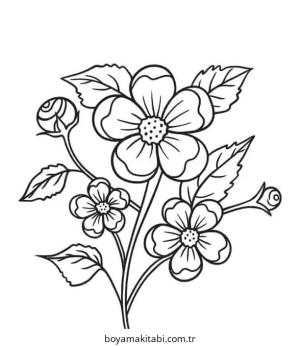 Çiçek Boyama