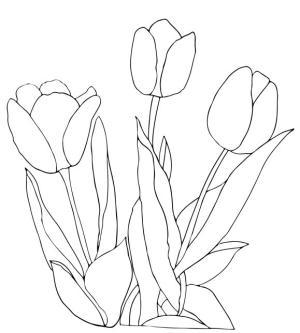 Çiçek boyama sayfası, Flower coloring page, , 